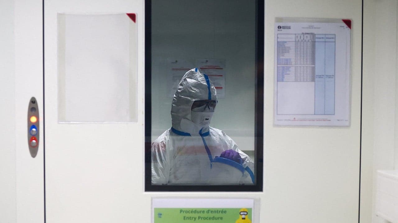 Bird flu could risk pandemic โworse than Covidโ if it mutates