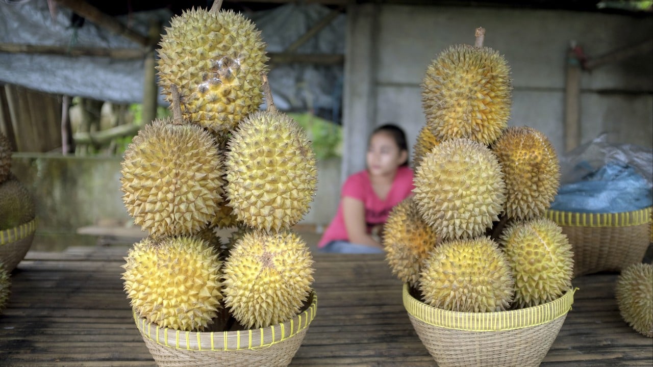Indonesian durian sellers smell big opportunity in China, worldโs largest market