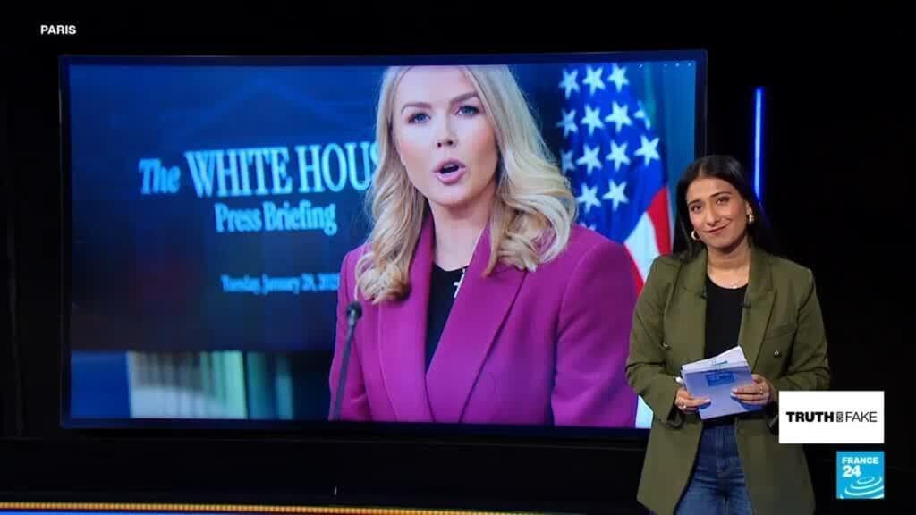 Yes, ICE arrested the mother of Karoline Leavittโs nephew